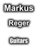 Markus Reger Guitars